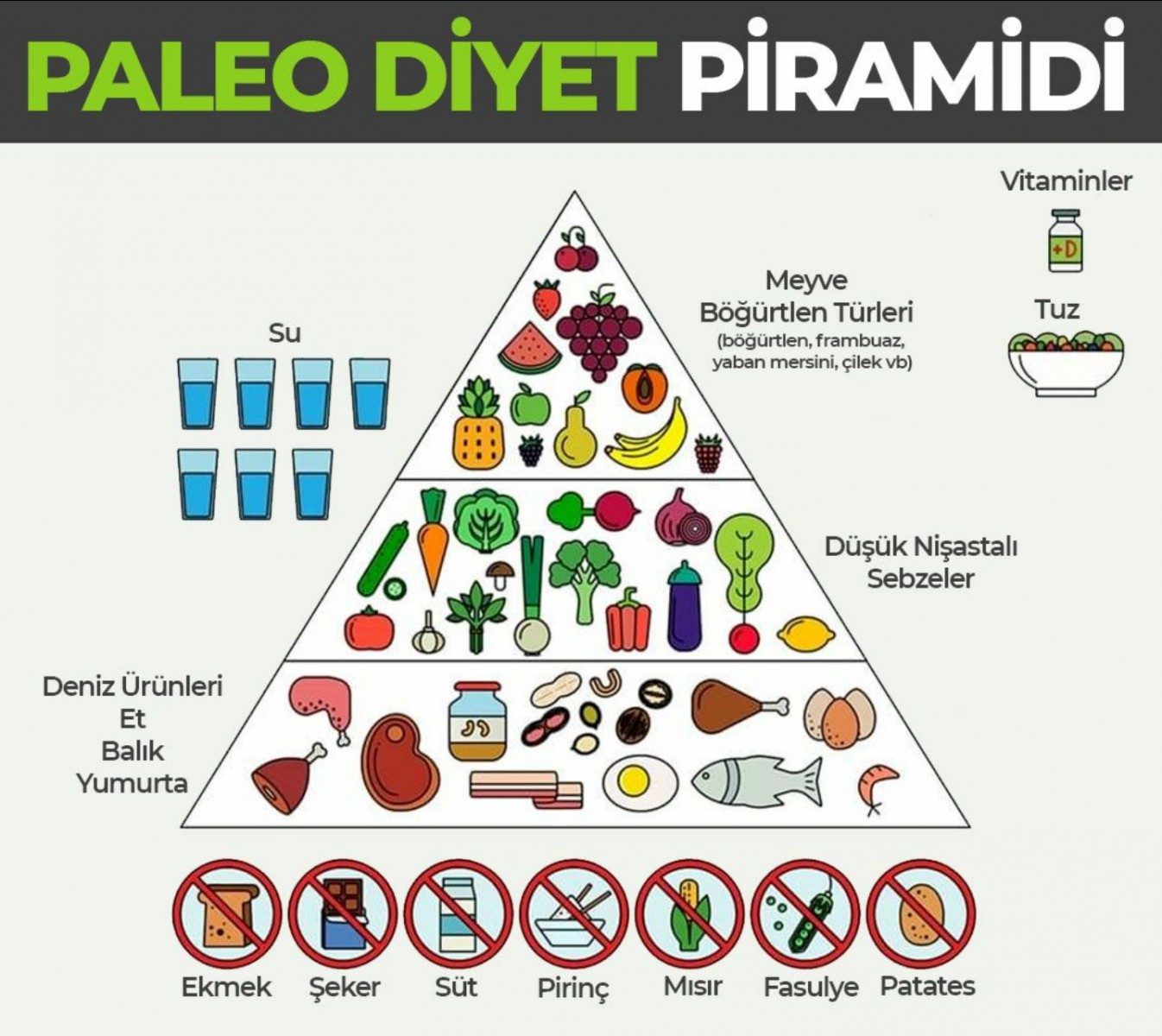 DİYET TRENDLERİ – BÖLÜM II